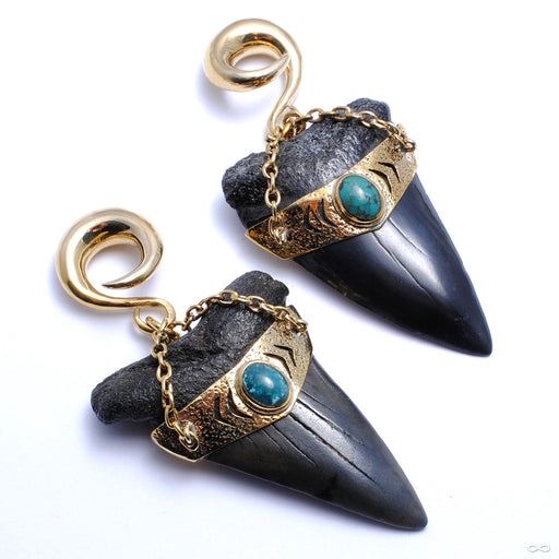 Megalodon Teeth with Turquoise from Diablo Organics