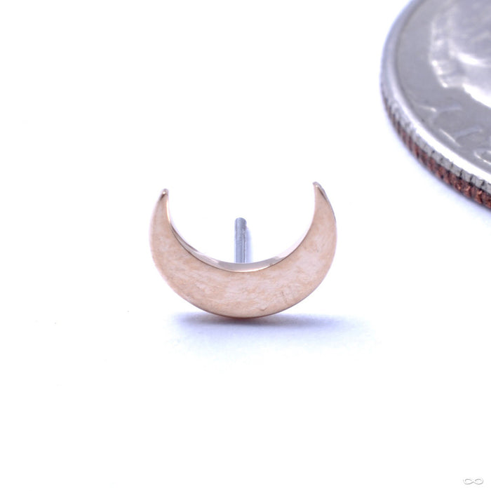 Moon Press-fit End in Gold from Anatometal in Yellow Gold