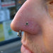 Nostril piercing with Illuminati Press-fit End in Gold from BVLA in 14k Yellow Gold