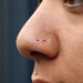 Two nostril piercings with Dome Press-fit End in Gold from LeRoi in 2mm & 2.5mm 14k Yellow Gold
