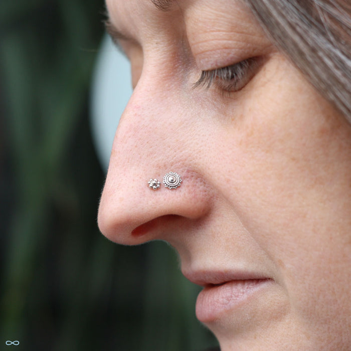 Afghan Press-fit End in Gold from BVLA in a nostril piercing