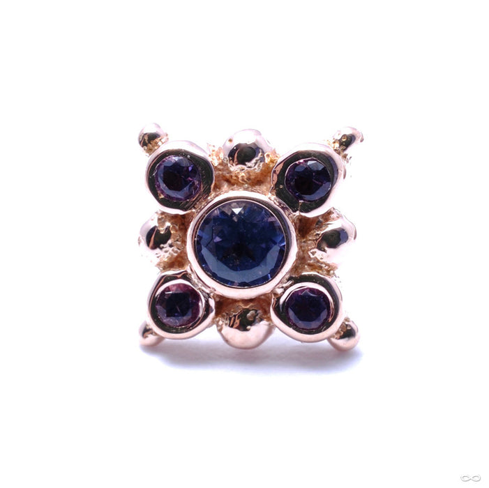 Orion Press-fit End in Gold from BVLA with Tanzanite & Amethyst