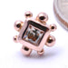 Princess with 8 Beads Press-fit End in Gold from BVLA with Champagne CZ