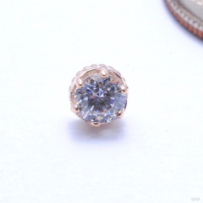 Queen Press-fit End in Gold from Anatometal with Clear CZ