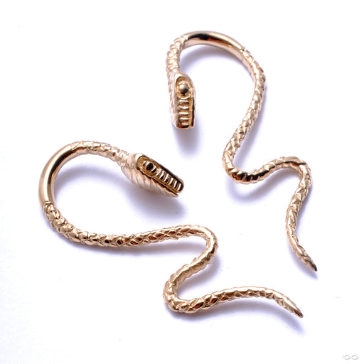 Snakes from Tawapa in Yellow-gold-plated Brass