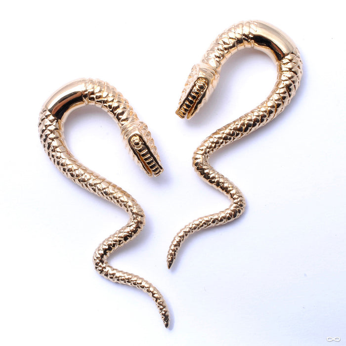 Snakes from Tawapa in Yellow-gold-plated Brass
