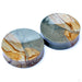 Owyhee Picture Jasper Concave Plugs in 1 ¾” from Stone Witch