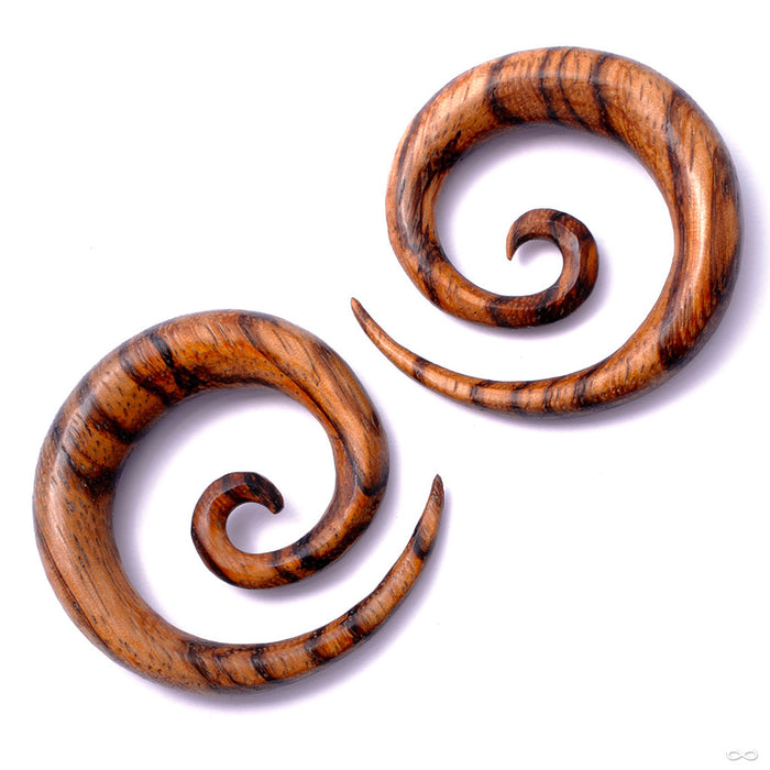 Super Spiral in Wood from Maya Jewelry in Zebra Wood