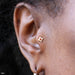 Tragus with Flourish Illusion Press-fit End in Yellow Gold with Garnet from BVLA