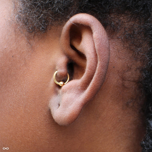 Tragus piercing with Fixed Bead Ring in Gold in 16g from Anatometal