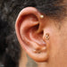 Forward Helix Piercing with Bead Swirl Press-fit End in Gold from BVLA with Clear CZ
