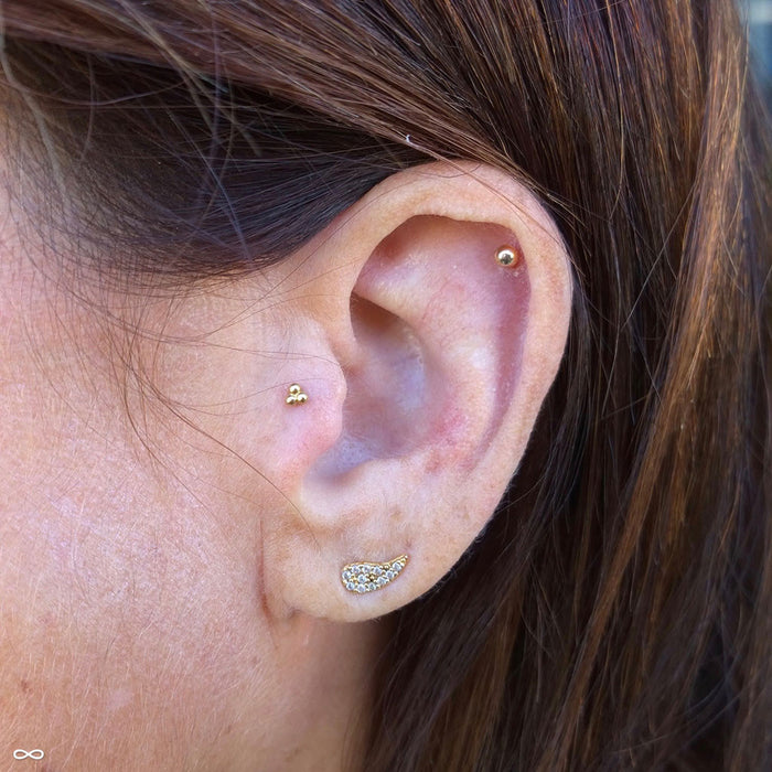 Outer helix piercing with Tri Bead Cluster Press-fit End in Gold from BVLA in 14k Yellow Gold