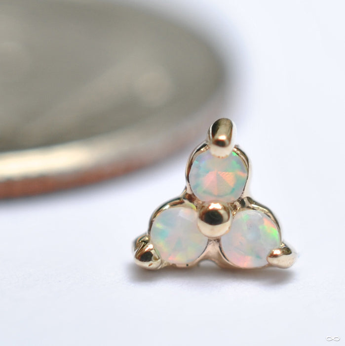 Tri Prong Cluster Press-fit End in Gold from BVLA with White Opal