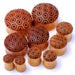 Turtle Shell Convex Plugs from Omerica Organic