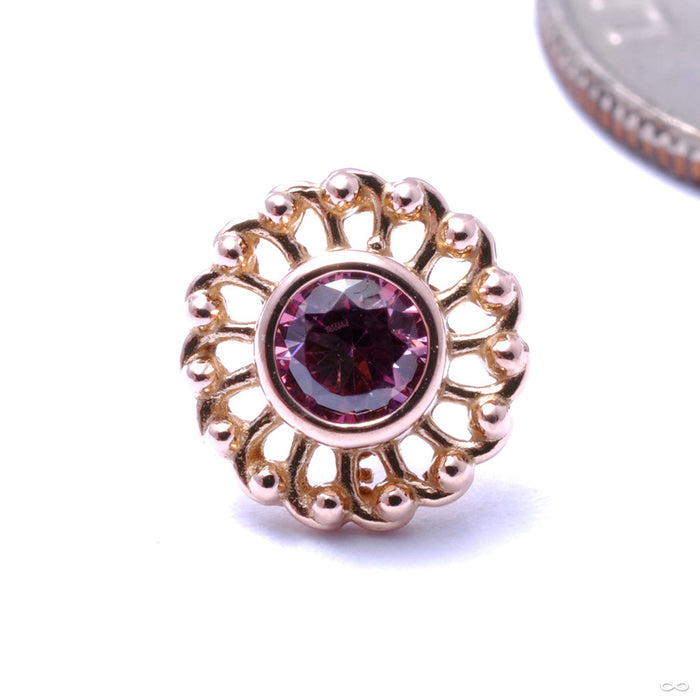 Virtue Press-fit End in Gold from Anatometal with Salmon Pink CZ